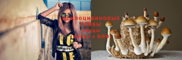 крисы Аркадак