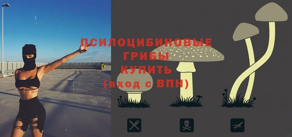 спиды Армянск