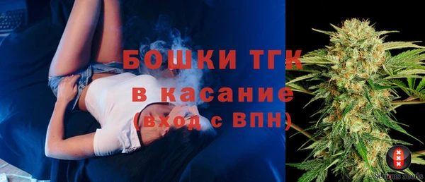 крисы Аркадак
