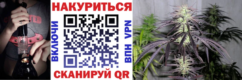 где купить наркотик  площадка как зайти  Бошки Шишки семена  Никольское 